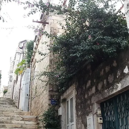 Apartment Previsic